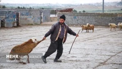 پایگاه اطلاع رسانی ایران