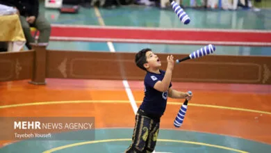 5605497.jpg