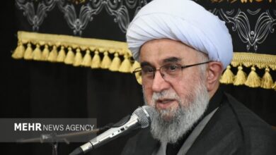 آیت الله رمضانی: معرفت و محبت به ولایت رمز تعالی انقلاب است