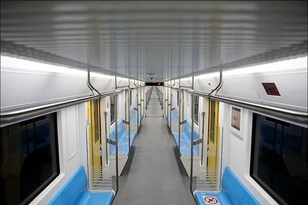 5905927.jpg