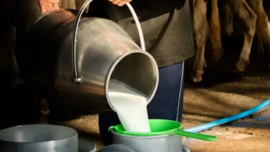 پایگاه اطلاع رسانی ایران