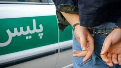 ضربه پلیس کلاله به قاچاقچیان ترافل؛ ۲۳۰ کیلو قارچ قاچاق کشف شد