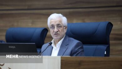 نوری: قطع گاز صنایع خراسان شمالی باید از اولویت خارج شود