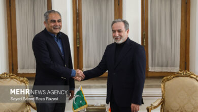 دیدار وزیر کشور پاکستان با وزیرامور خارجه
