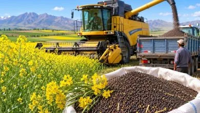 پایگاه اطلاع رسانی ایران