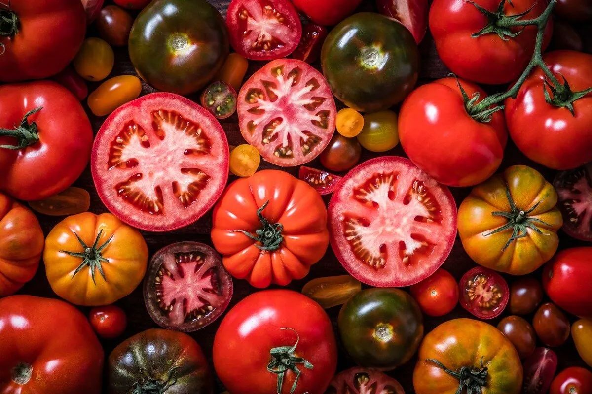 خوردن گوجه فرنگی برای این افراد ضرر دارد؛ ۵ عارضه و نکته ...