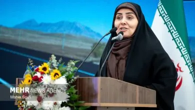 صادق: ارتباطات حمل‌ونقلی با همسایگان در جنگ حیاتی بود