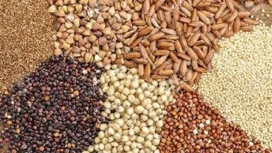 ۱۱ هزار و ۵۱۰ تن بذر برای کشت پاییزه کهگیلویه و بویراحمد تأمین شد