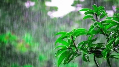 بارش پراکنده در ارتفاعات گلستان؛ افزایش دما از سه‌شنبه