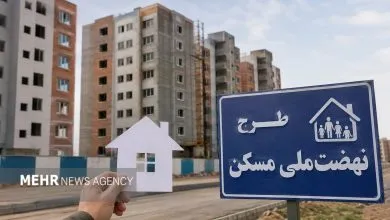 تأکید معاون وزیر راه بر تسریع زیرساخت‌های مسکن ملی شیراز