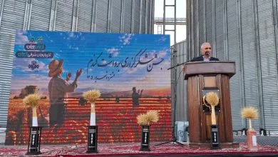 شبکه تعاون روستایی در حمایت از کشاورزان نقش راهبردی دارد