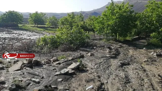 دامداران