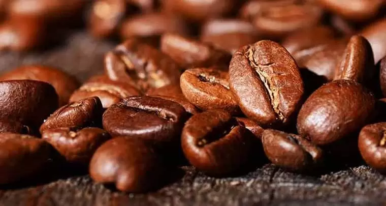 عربیکا